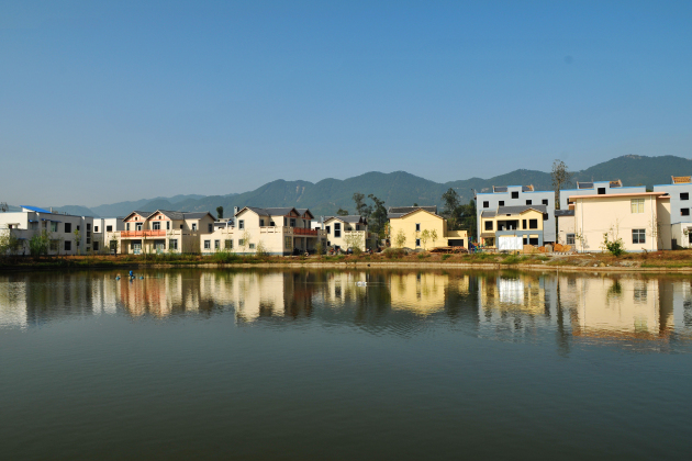 �����¾�